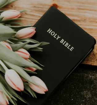 priscilla-du-preez-zXsZHJC5qYw-unsplash