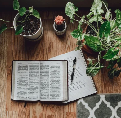 rachel-strong-VhcxuEGNXo4-unsplash